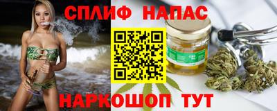 твердый Моздок