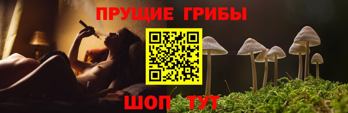 Галлюциногенные грибы GOLDEN TEACHER  Вход с VPN  Псилоцибиновые грибы ЛСД  Пушкино 